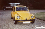 Beetle